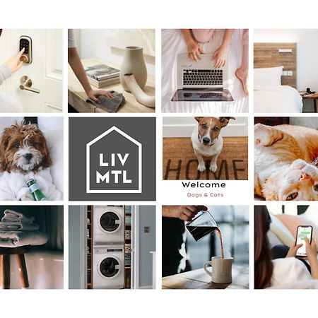 モントリオール Liv Mtl Avenueアパートホテル エクステリア 写真